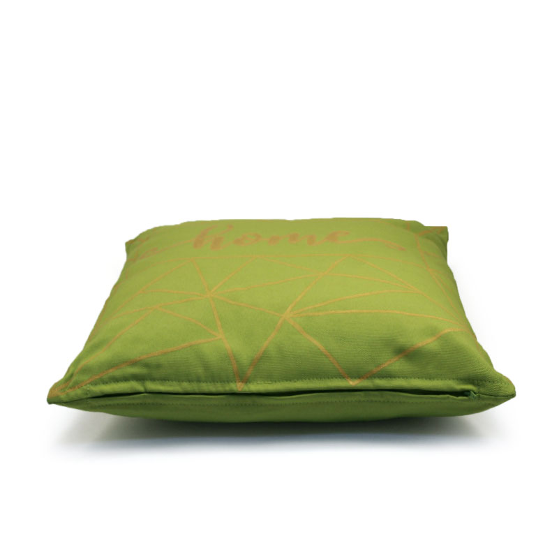 Perna pictata manual - Home