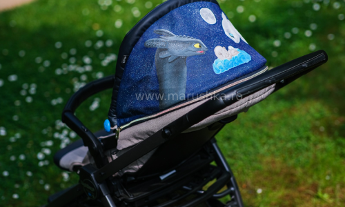 How to train your dragon